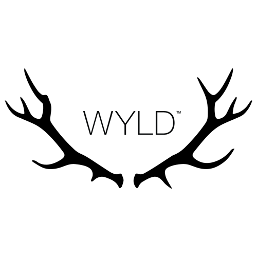 Company Logo 6