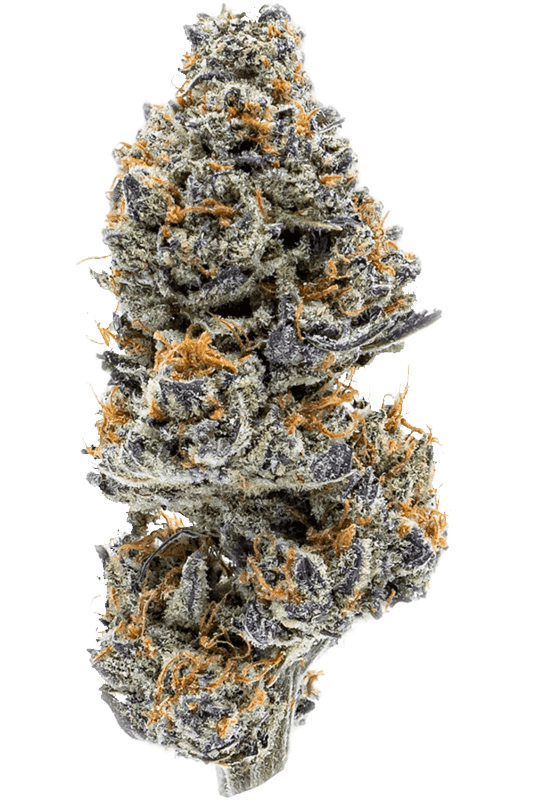 cannabis flower