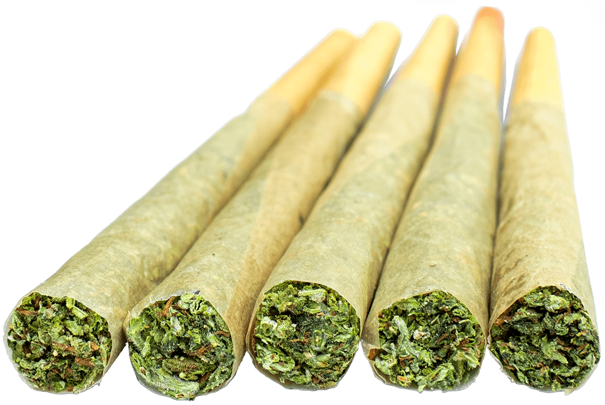cannabis flower