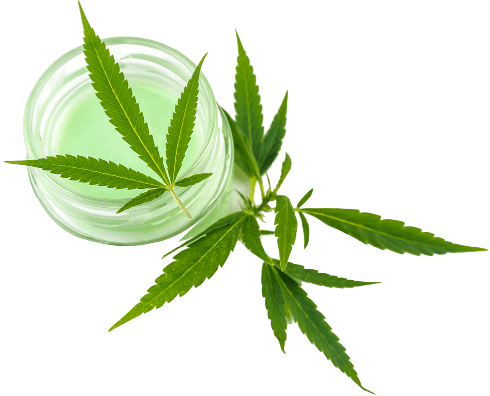 cannabis flower